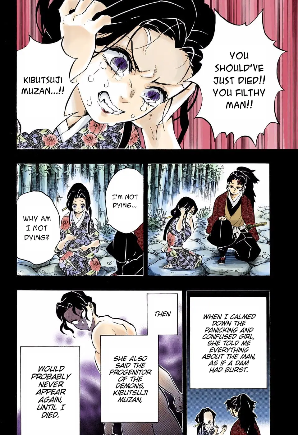 Demon Slayer Infinity Castle Colored Manga, chapter 187, page 9