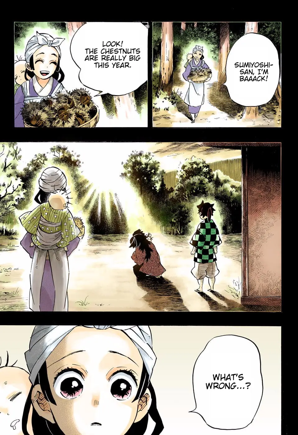 Demon Slayer Infinity Castle Colored Manga, chapter 187, page 16
