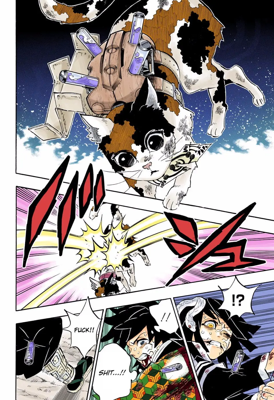 Demon Slayer Infinity Castle Colored Manga, chapter 189, page 12