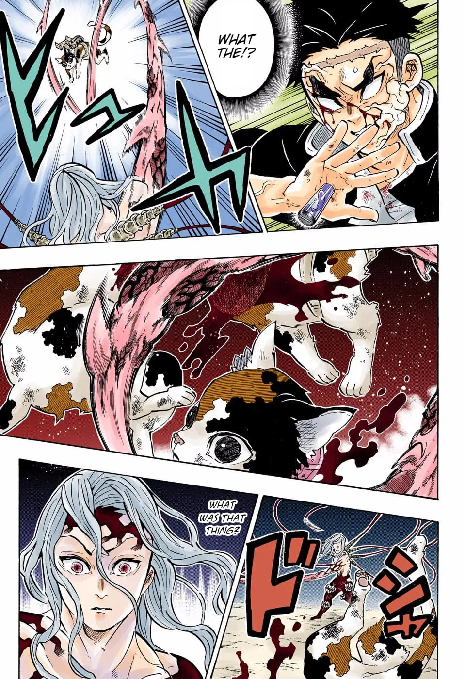 Demon Slayer Infinity Castle Colored Manga, chapter 189, page 13