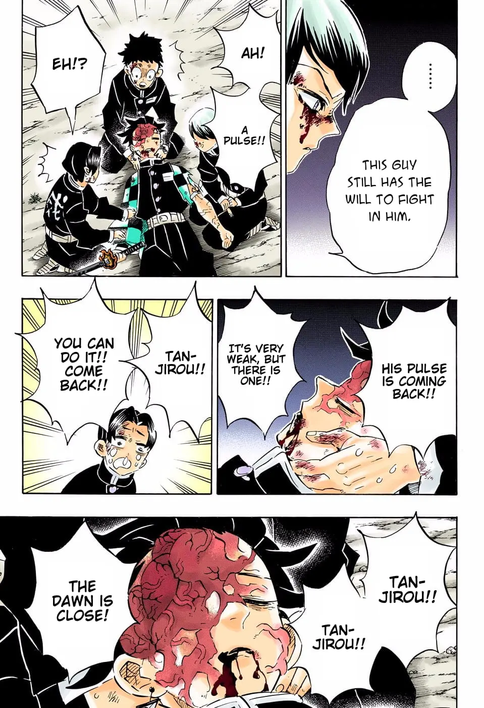 Demon Slayer Infinity Castle Colored Manga, chapter 191, page 4