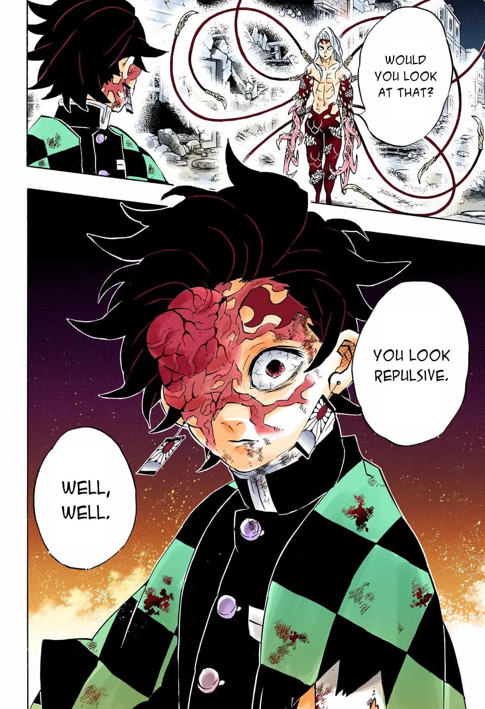 Demon Slayer Infinity Castle Colored Manga, chapter 191, page 21