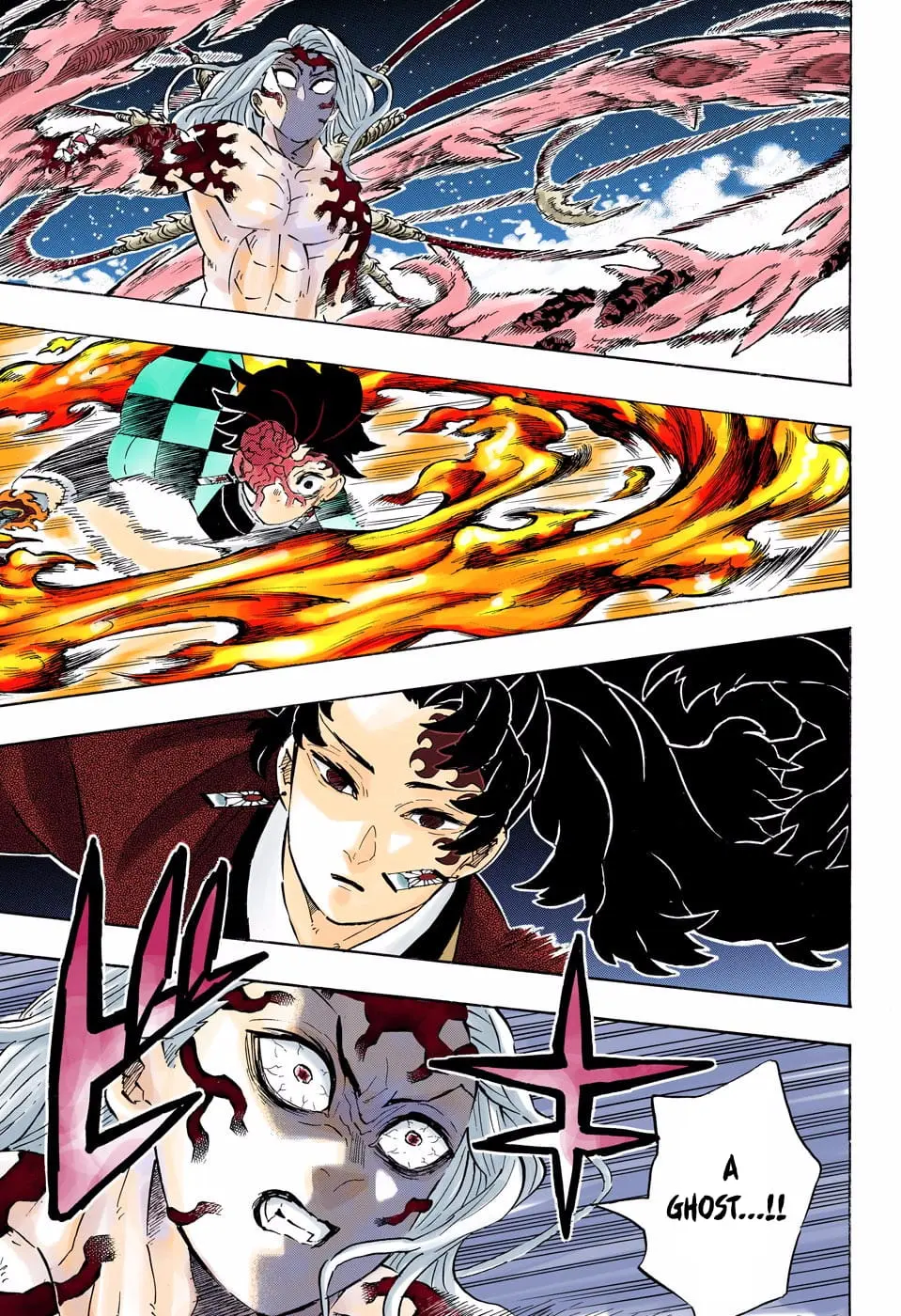 Demon Slayer Infinity Castle Colored Manga, chapter 192, page 15