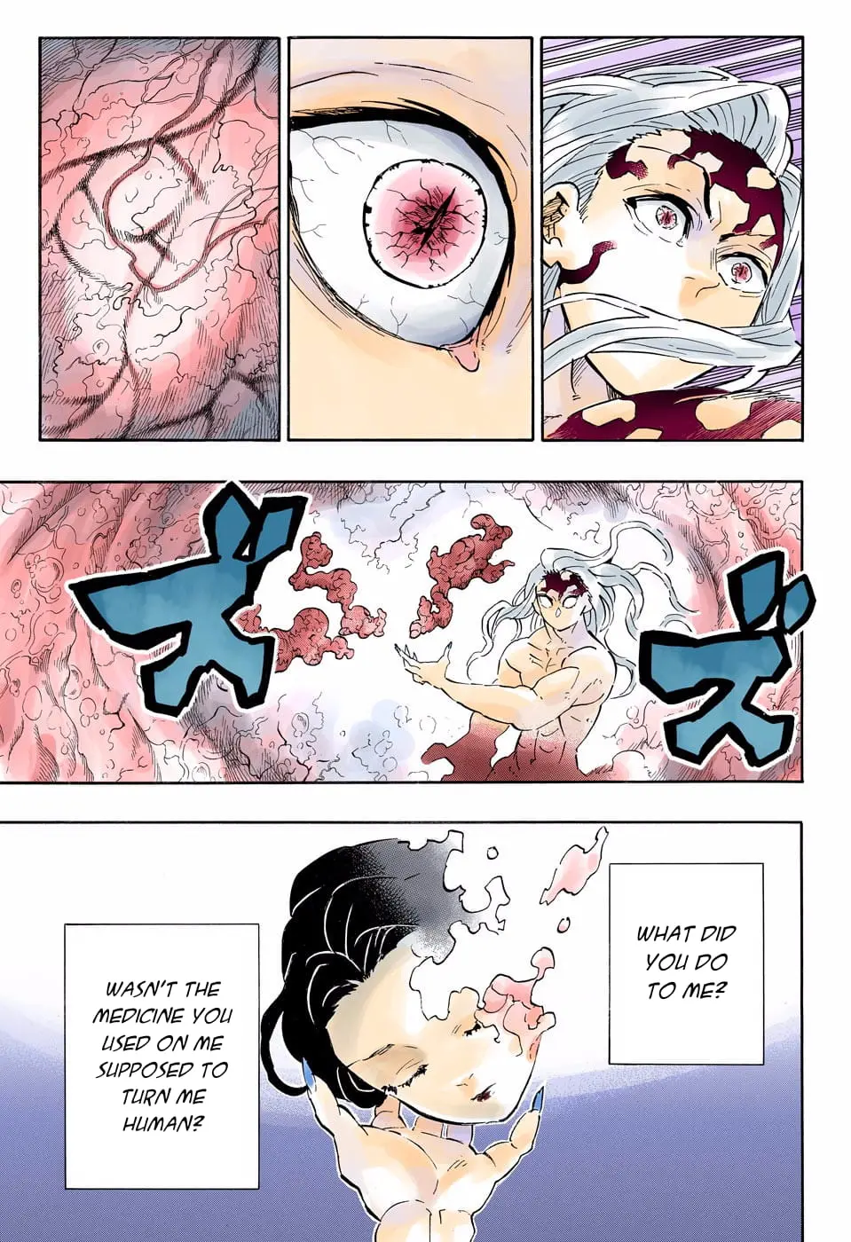 Demon Slayer Infinity Castle Colored Manga, chapter 193, page 15