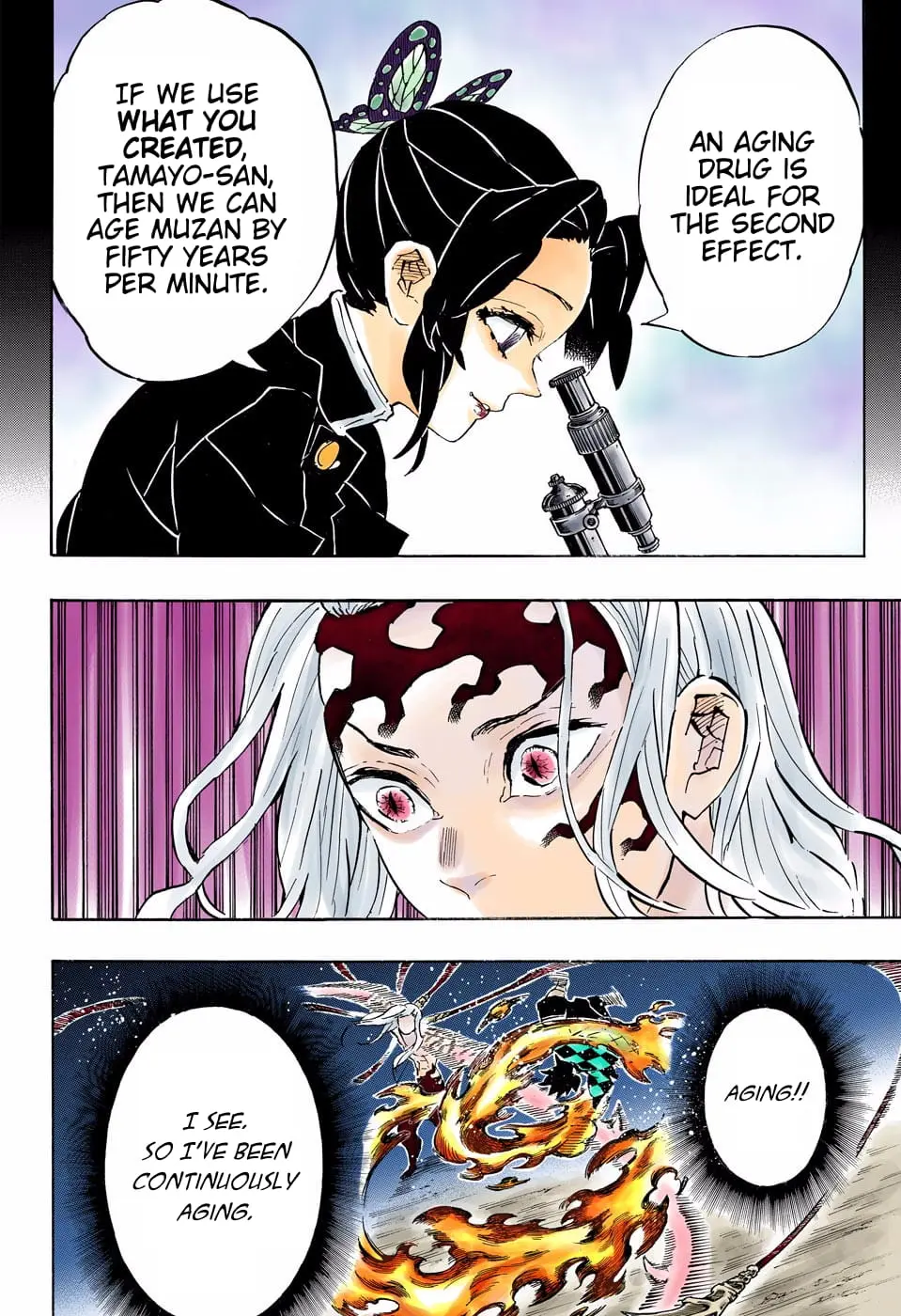 Demon Slayer Infinity Castle Colored Manga, chapter 193, page 18