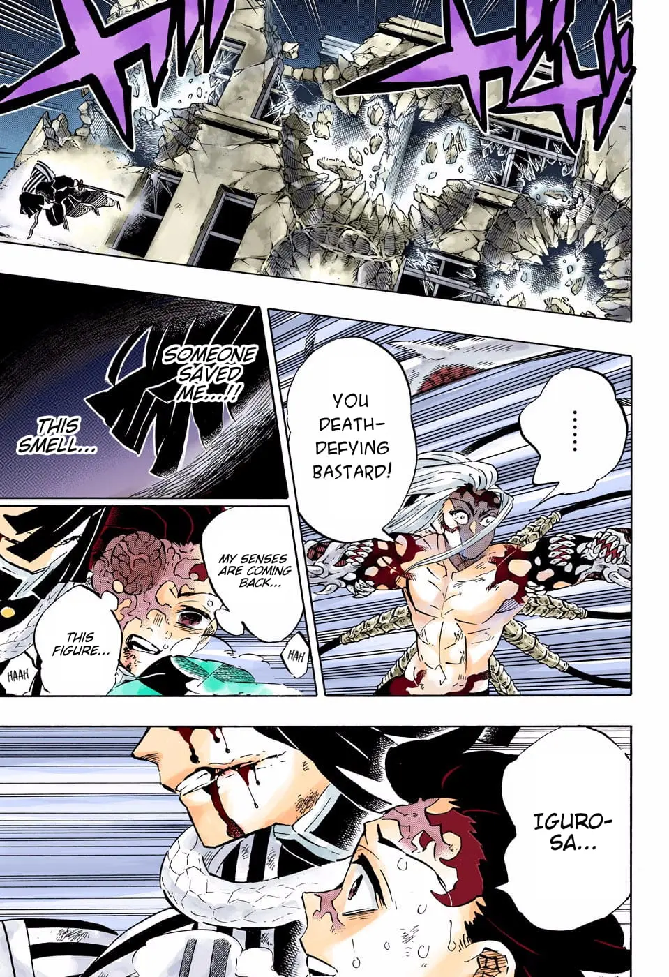 Demon Slayer Infinity Castle Colored Manga, chapter 194, page 9