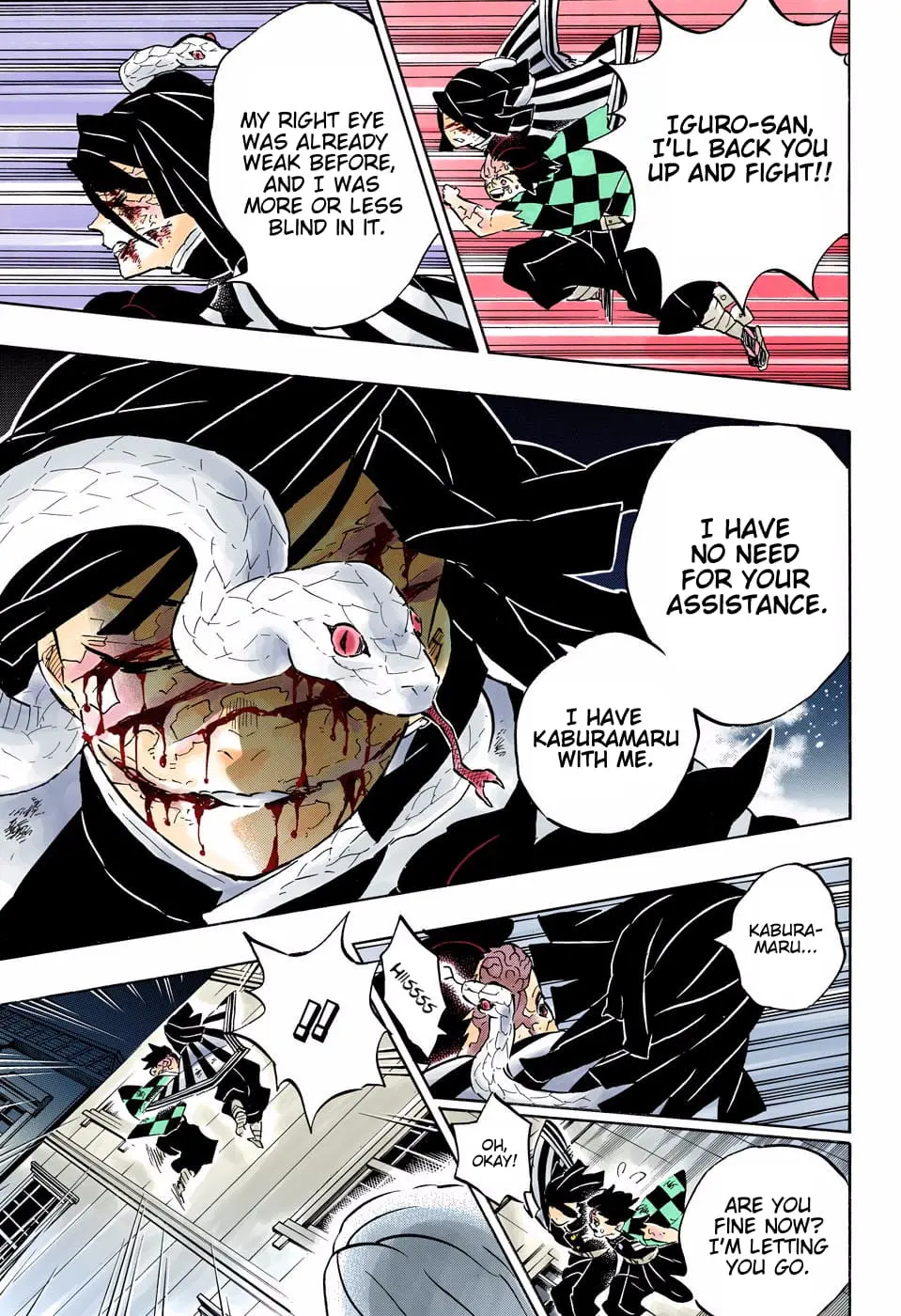 Demon Slayer Infinity Castle Colored Manga, chapter 194, page 11