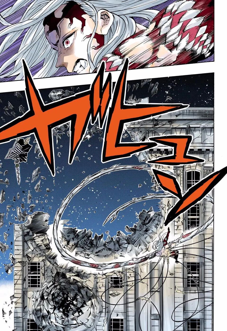 Demon Slayer Infinity Castle Colored Manga, chapter 194, page 13