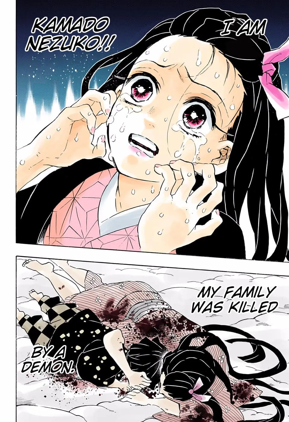 Demon Slayer Infinity Castle Colored Manga, chapter 196, page 12