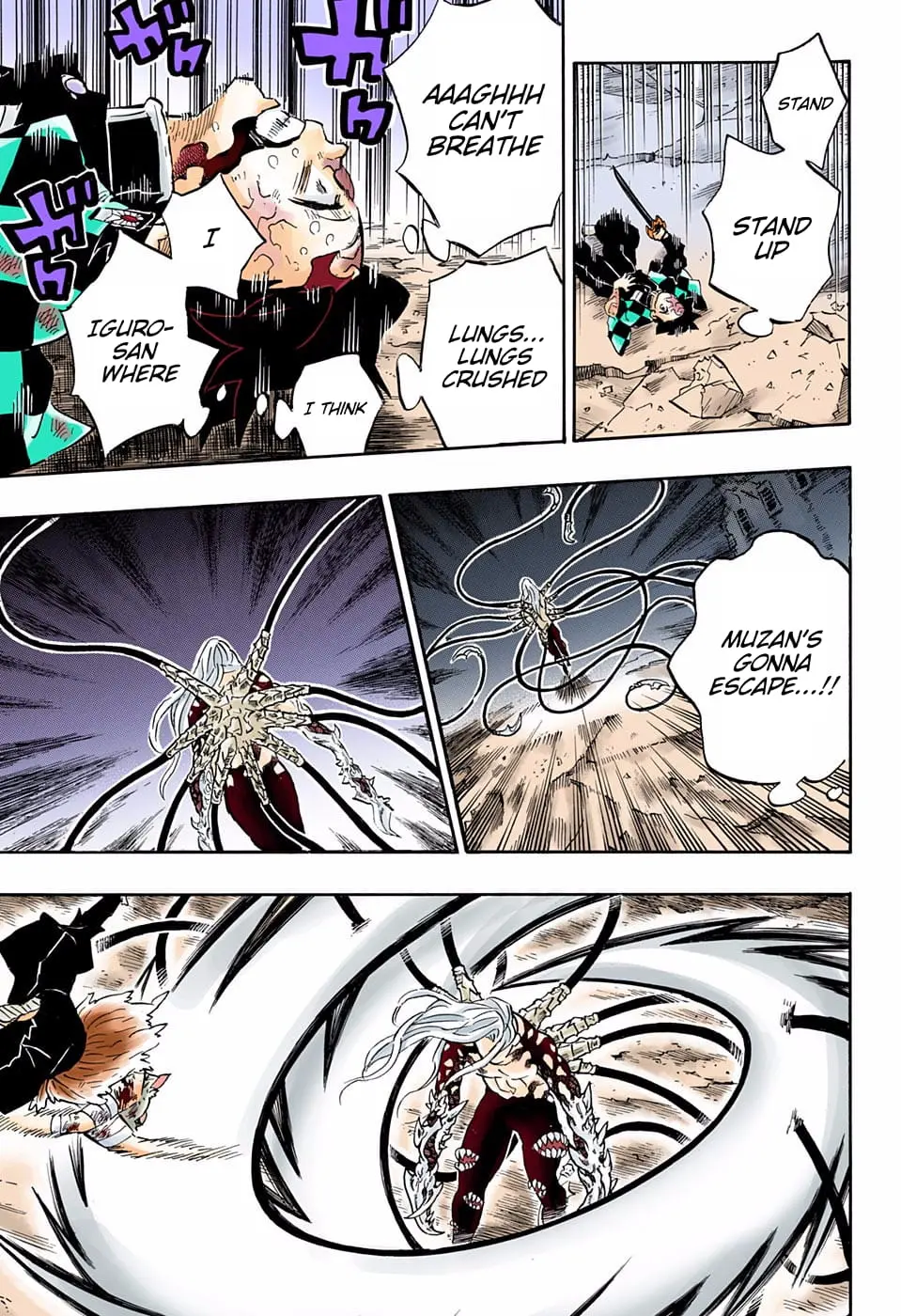 Demon Slayer Infinity Castle Colored Manga, chapter 197, page 8