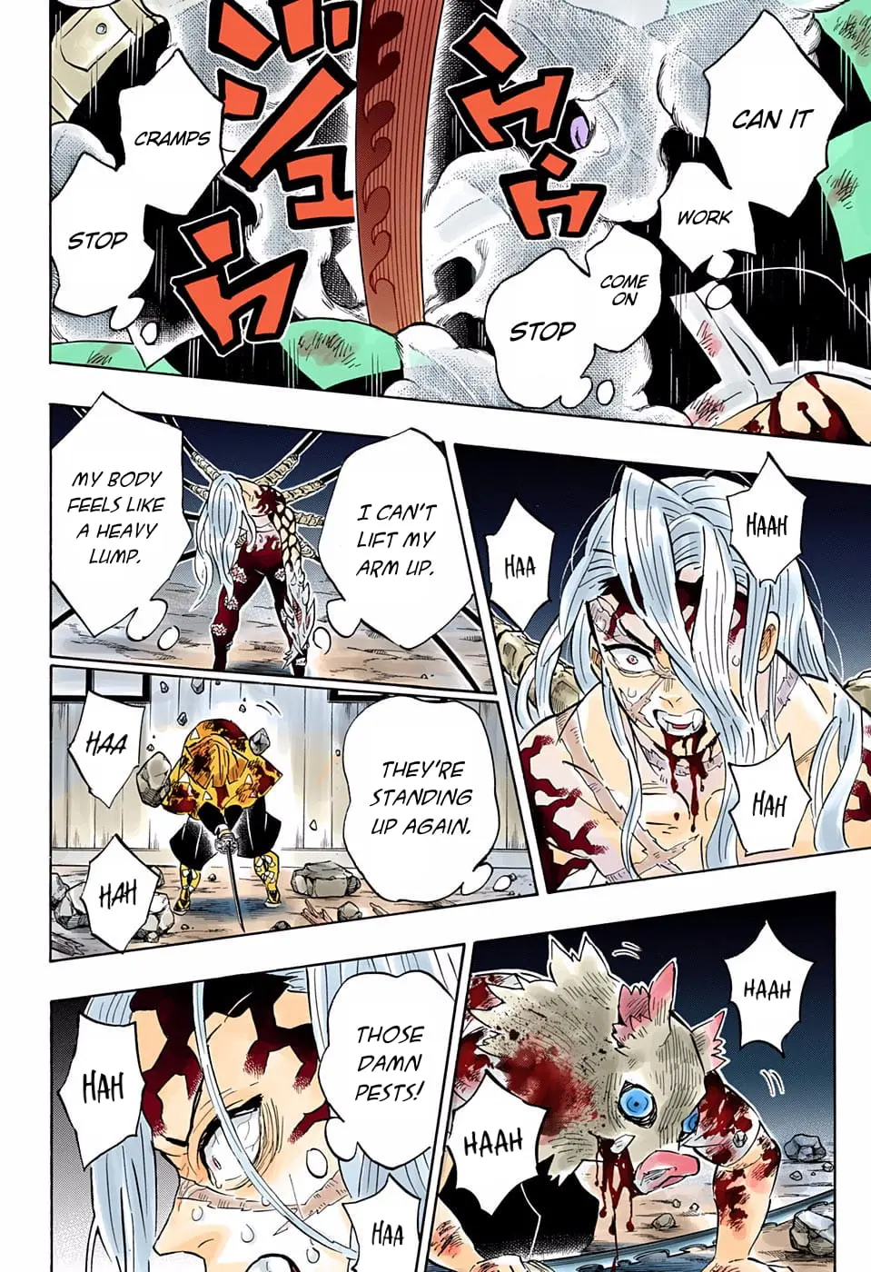 Demon Slayer Infinity Castle Colored Manga, chapter 197, page 17