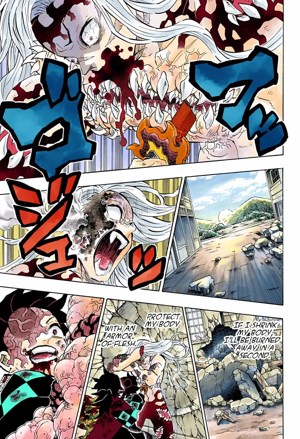 Demon Slayer Infinity Castle Colored Manga, chapter 199, page 5