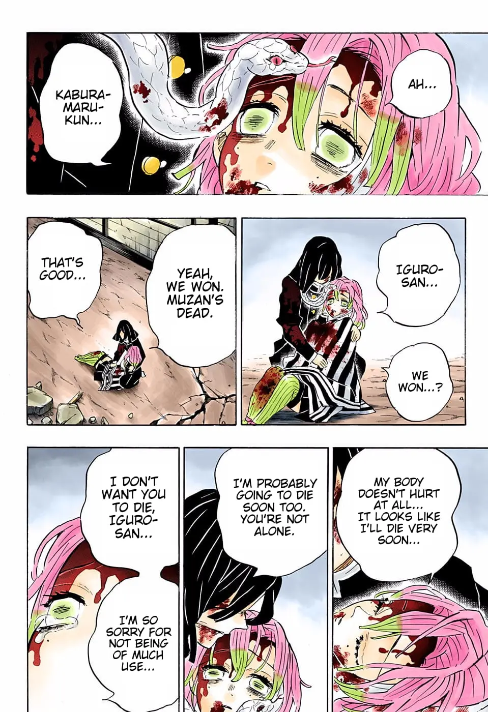 Demon Slayer Infinity Castle Colored Manga, chapter 200, page 12
