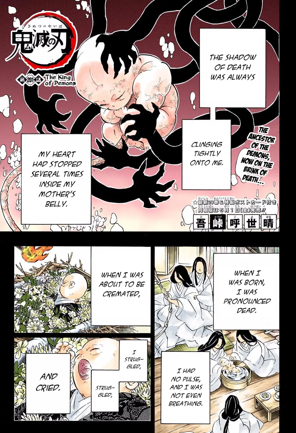 Demon Slayer Infinity Castle Colored Manga, chapter 201, page 1