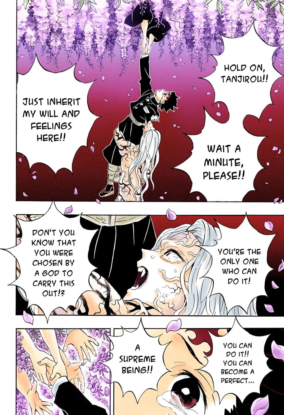 Demon Slayer Infinity Castle Colored Manga, chapter 203, page 12