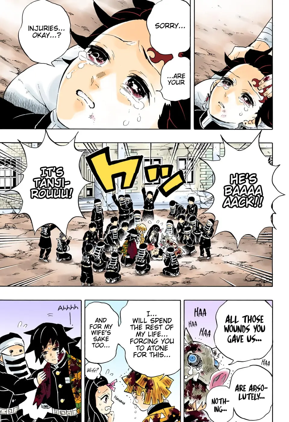 Demon Slayer Infinity Castle Colored Manga, chapter 203, page 17