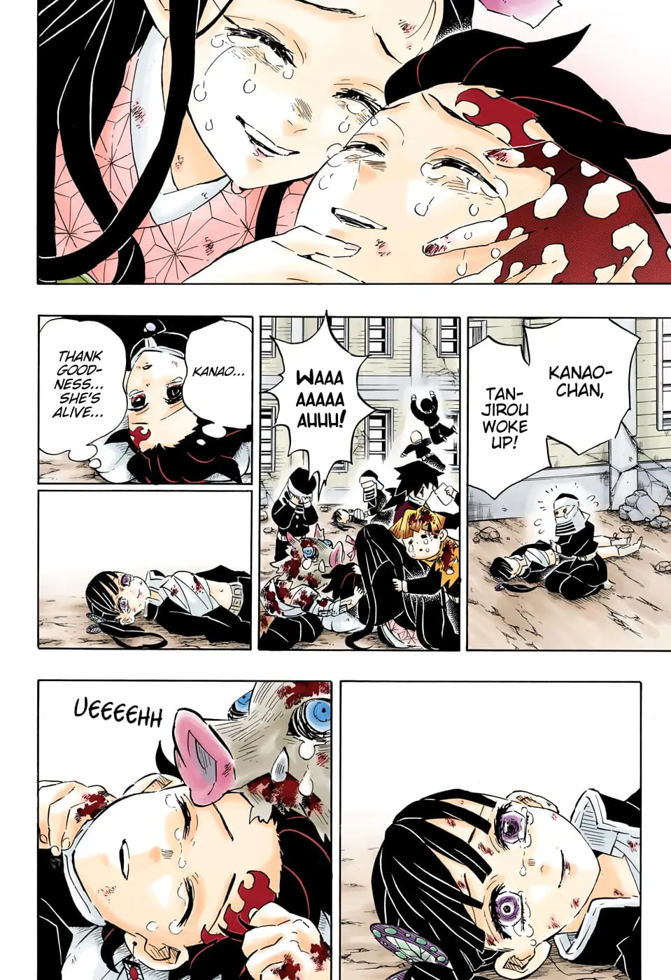 Demon Slayer Infinity Castle Colored Manga, chapter 203, page 18