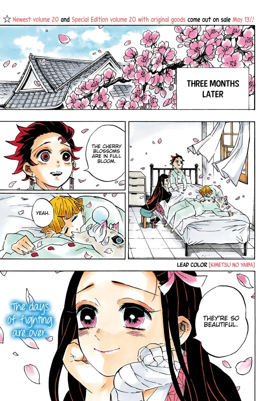 Demon Slayer Infinity Castle Colored Manga, chapter 204, page 4