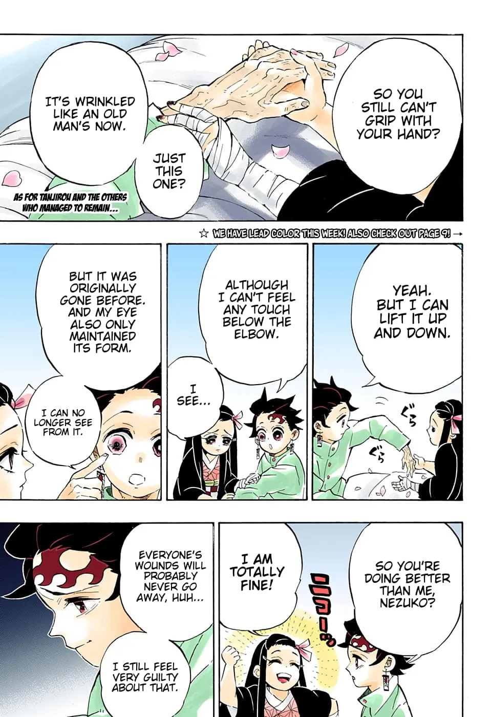 Demon Slayer Infinity Castle Colored Manga, chapter 204, page 7