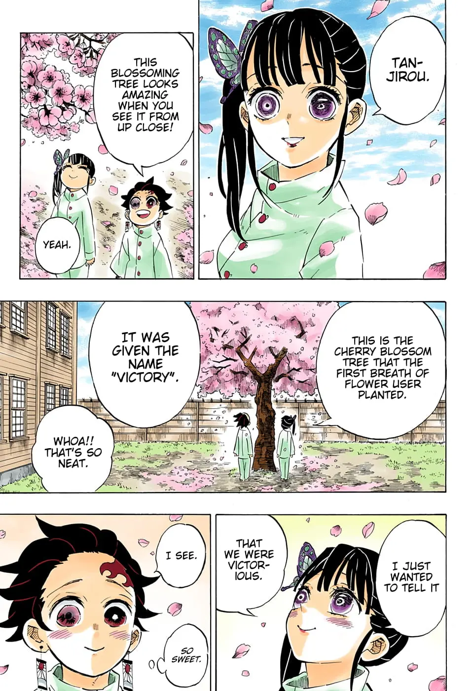 Demon Slayer Infinity Castle Colored Manga, chapter 204, page 21