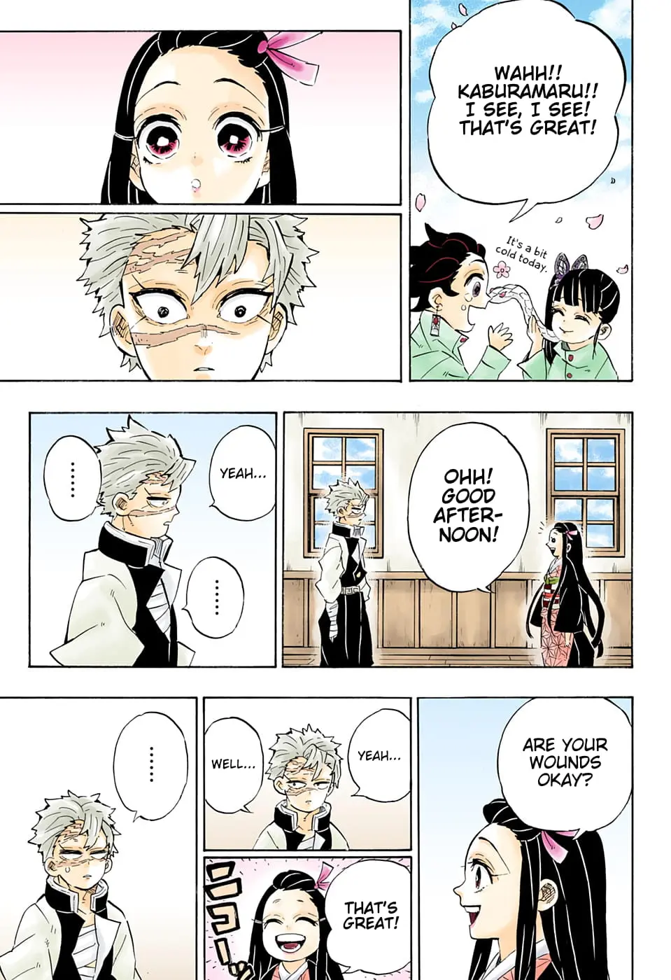 Demon Slayer Infinity Castle Colored Manga, chapter 204, page 23