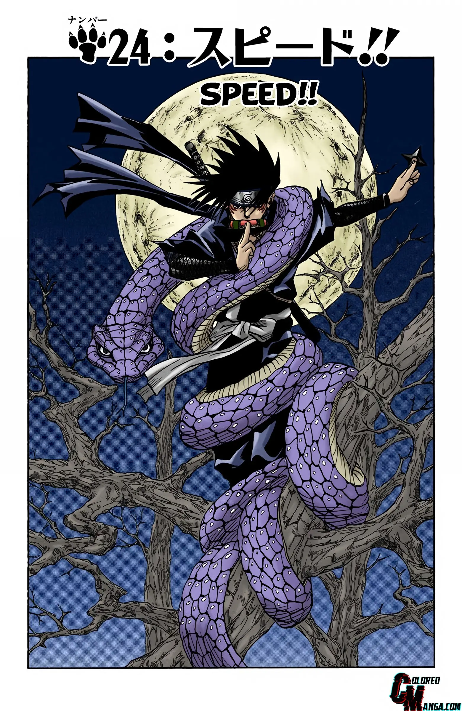 Naruto Colored Manga Online, chapter 24, page 1
