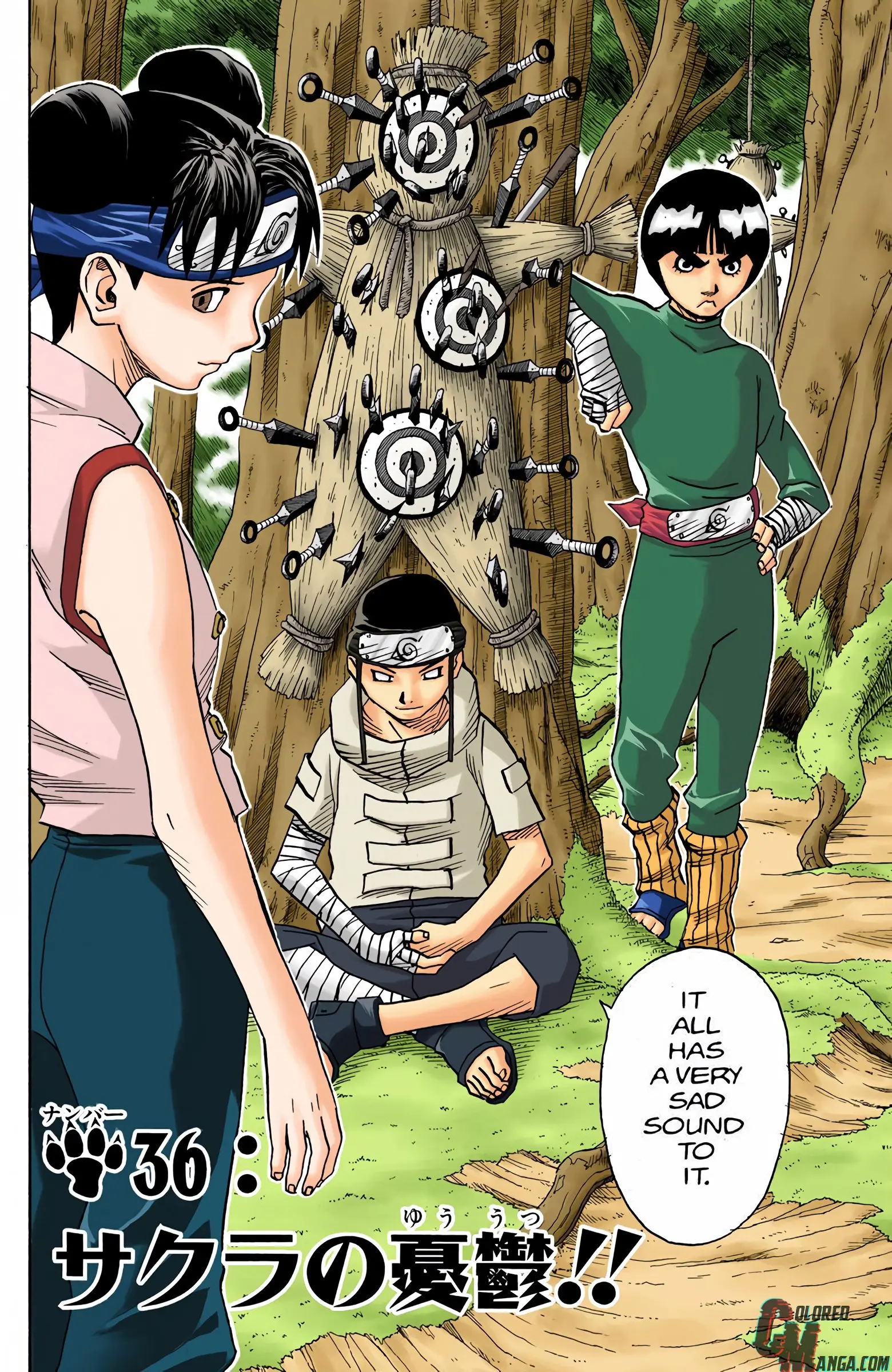 Naruto Colored Manga Online, chapter 36, page 2