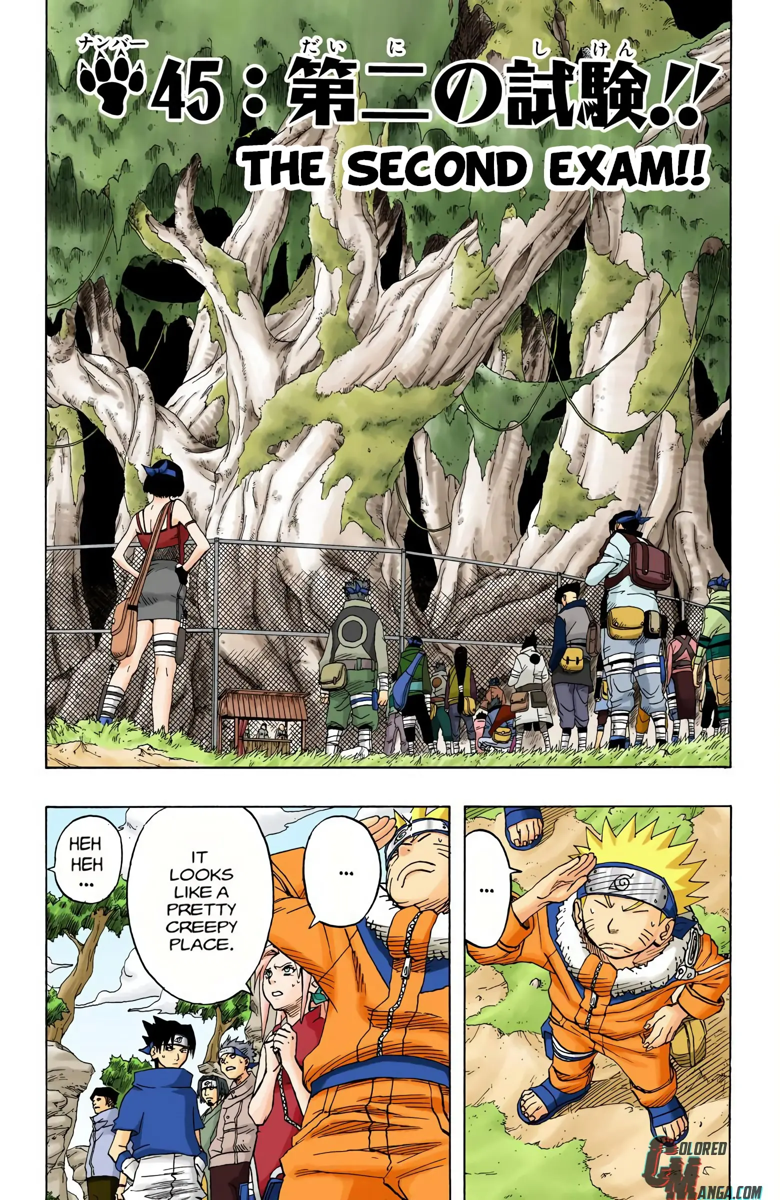 Naruto Colored Manga Online, chapter 45, page 1