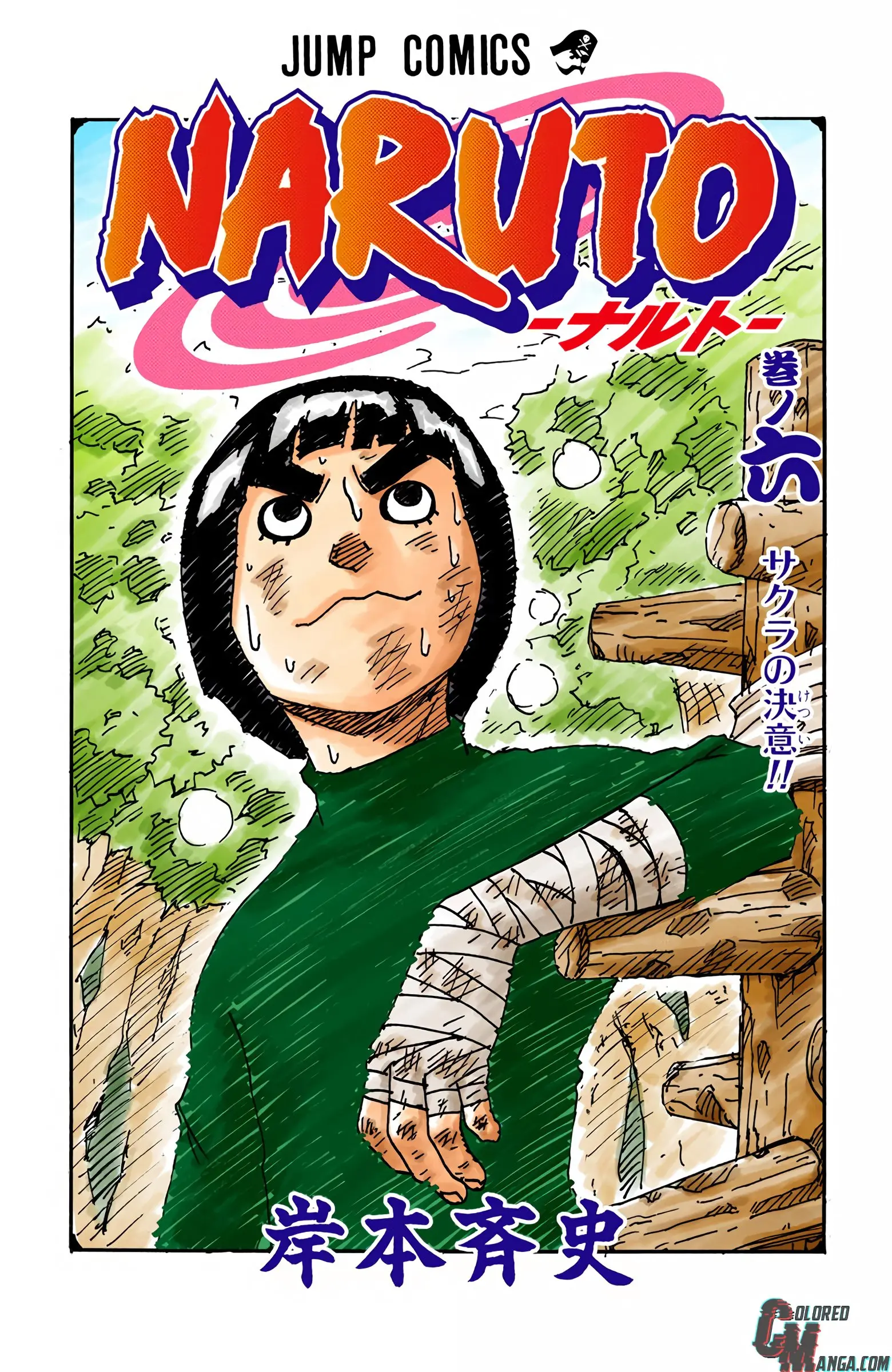 Naruto Colored Manga Online, chapter 46, page 3