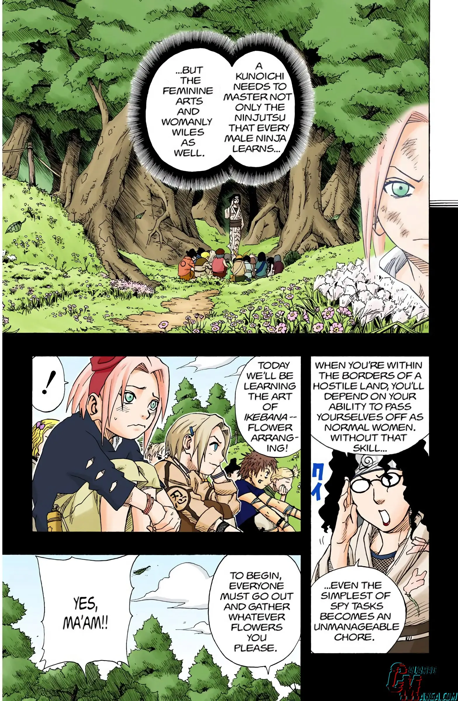 Naruto Colored Manga Online, chapter 71, page 4