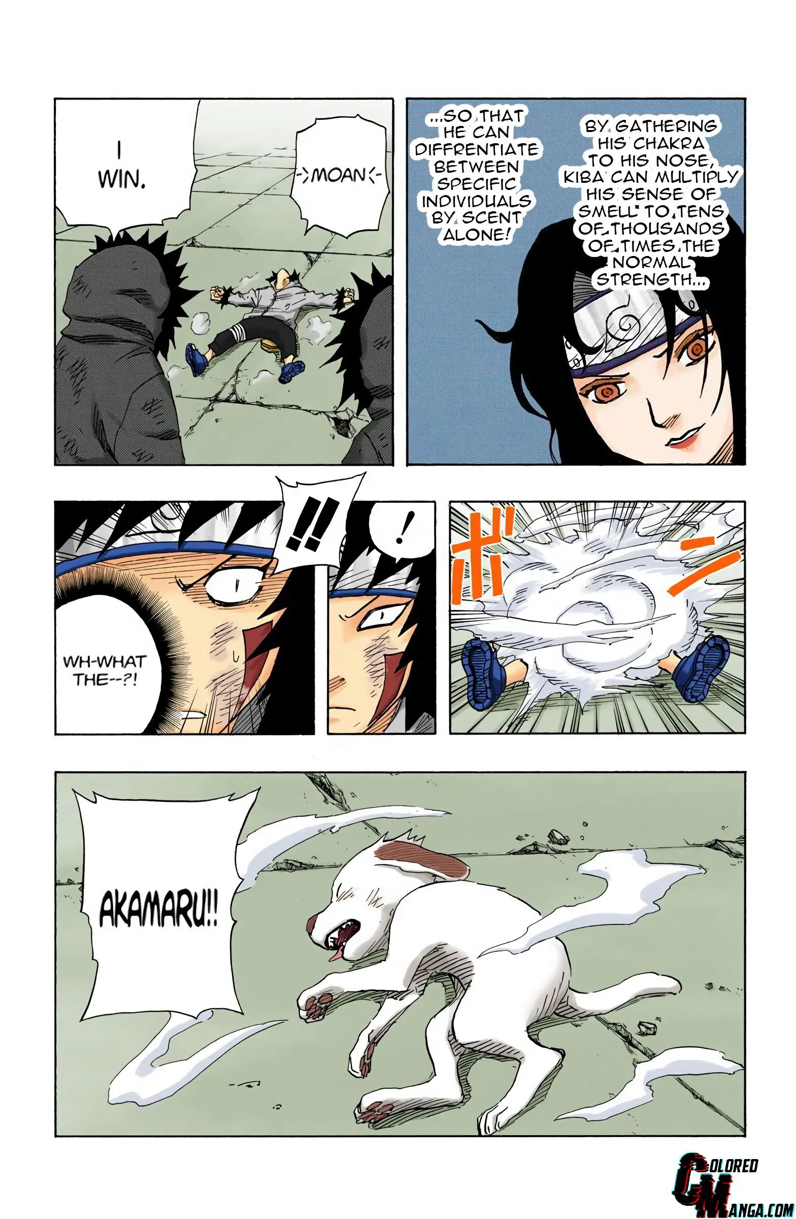 Naruto Colored Manga Online, chapter 76, page 18