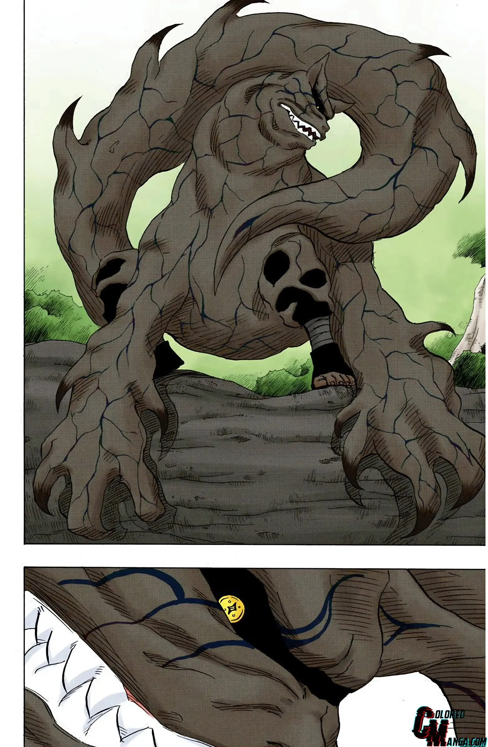 Naruto Colored Manga Online, chapter 132, page 6