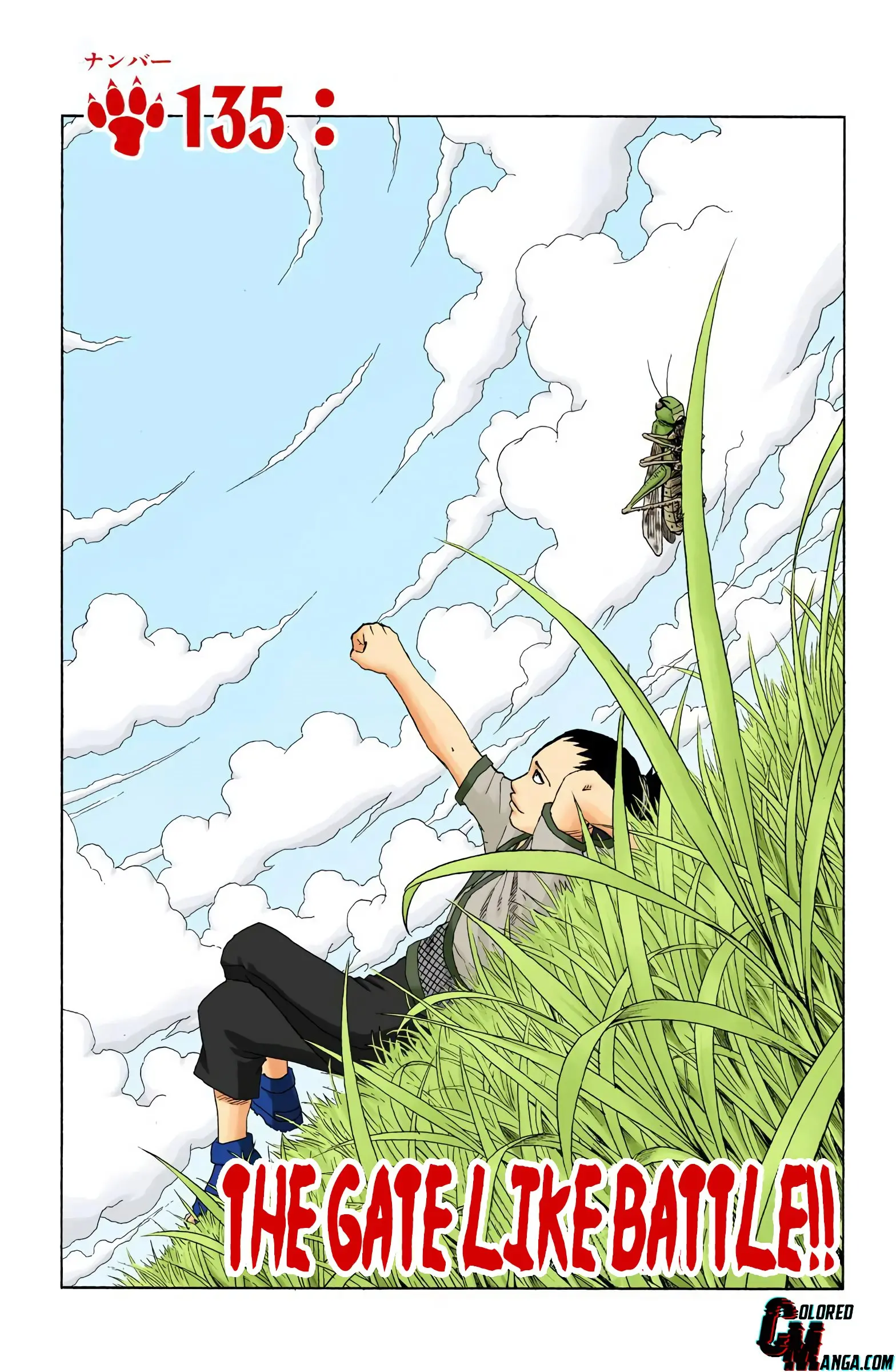 Naruto Colored Manga Online, chapter 135, page 1