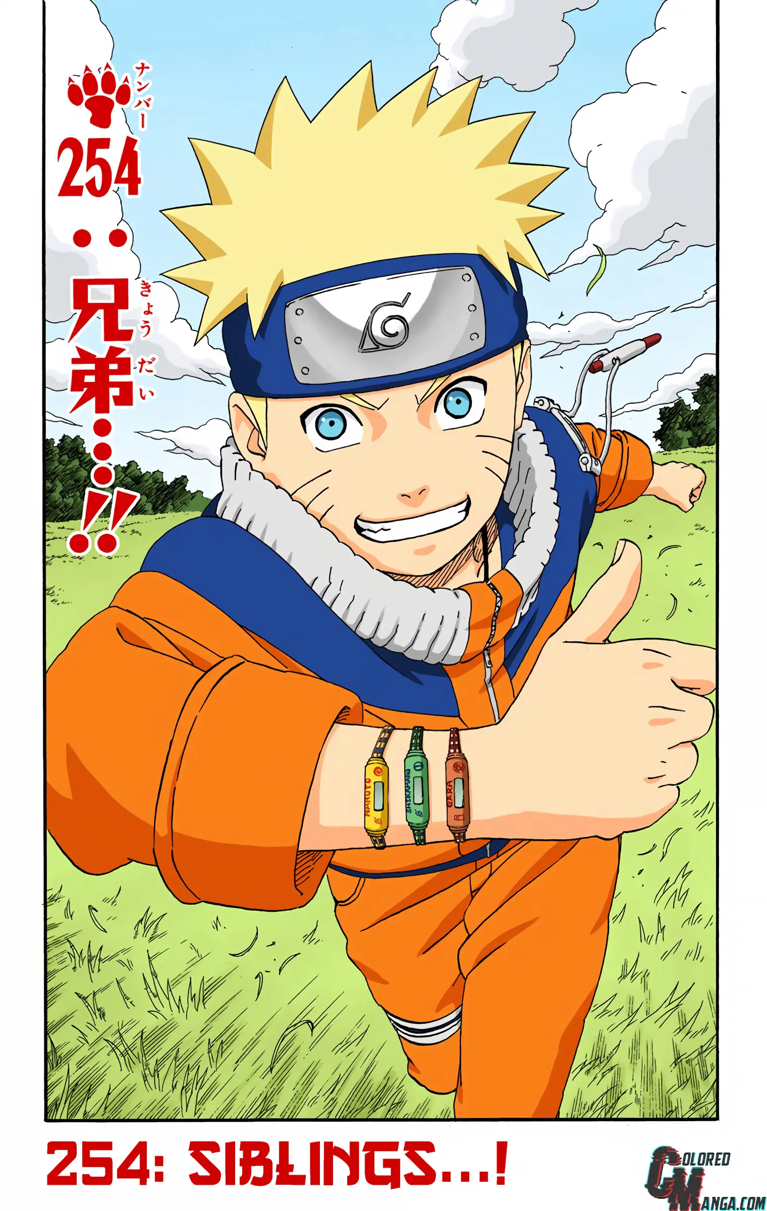 Naruto Colored Manga Online, chapter 254, page 6