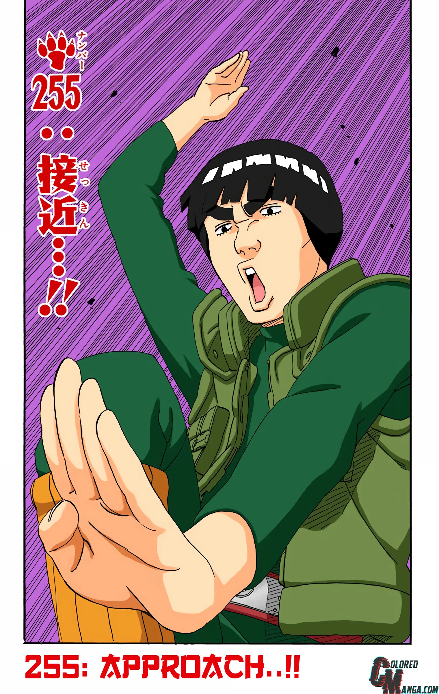 Naruto Colored Manga Online, chapter 255, page 1