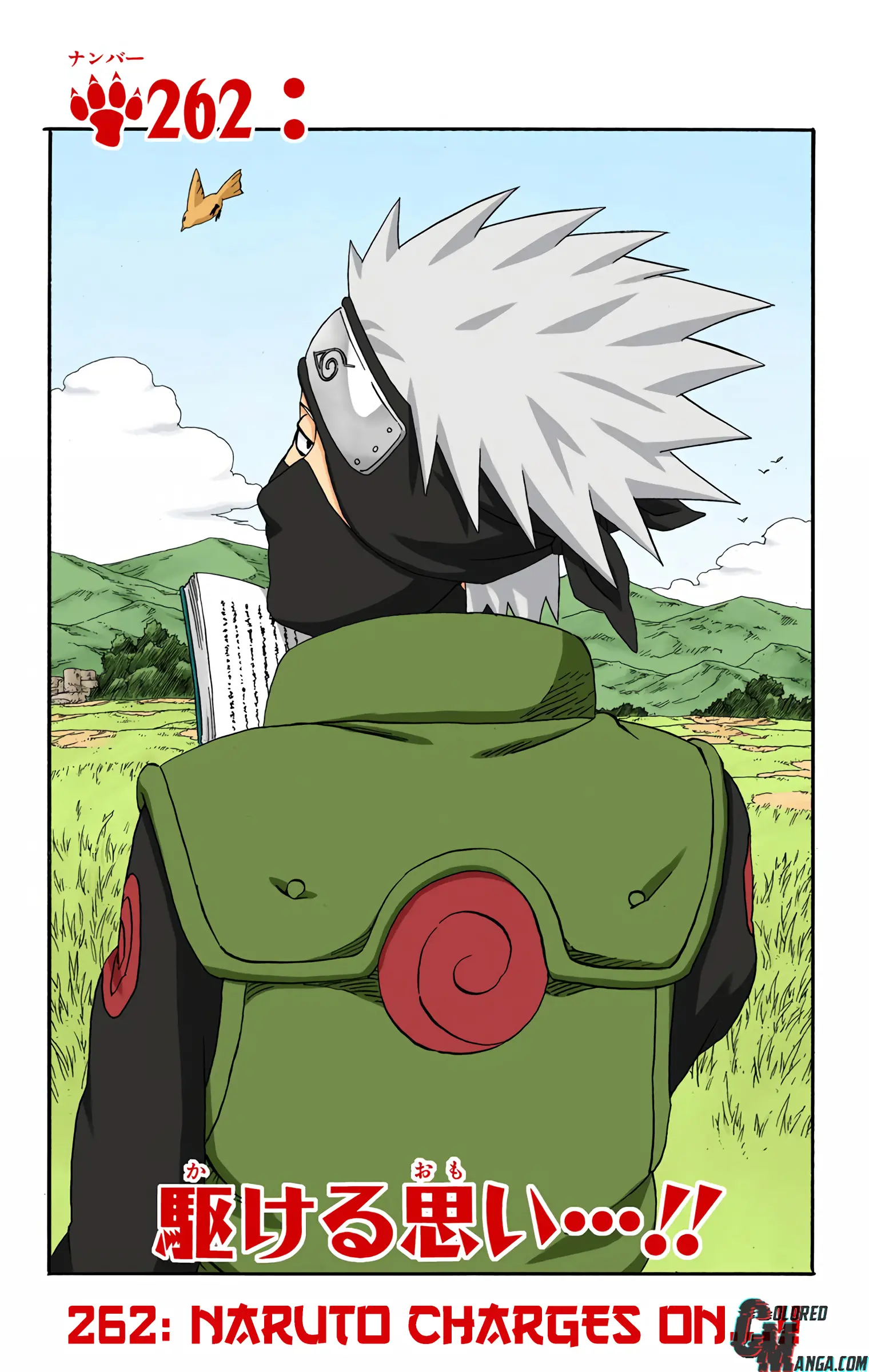 Naruto Colored Manga Online, chapter 262, page 1