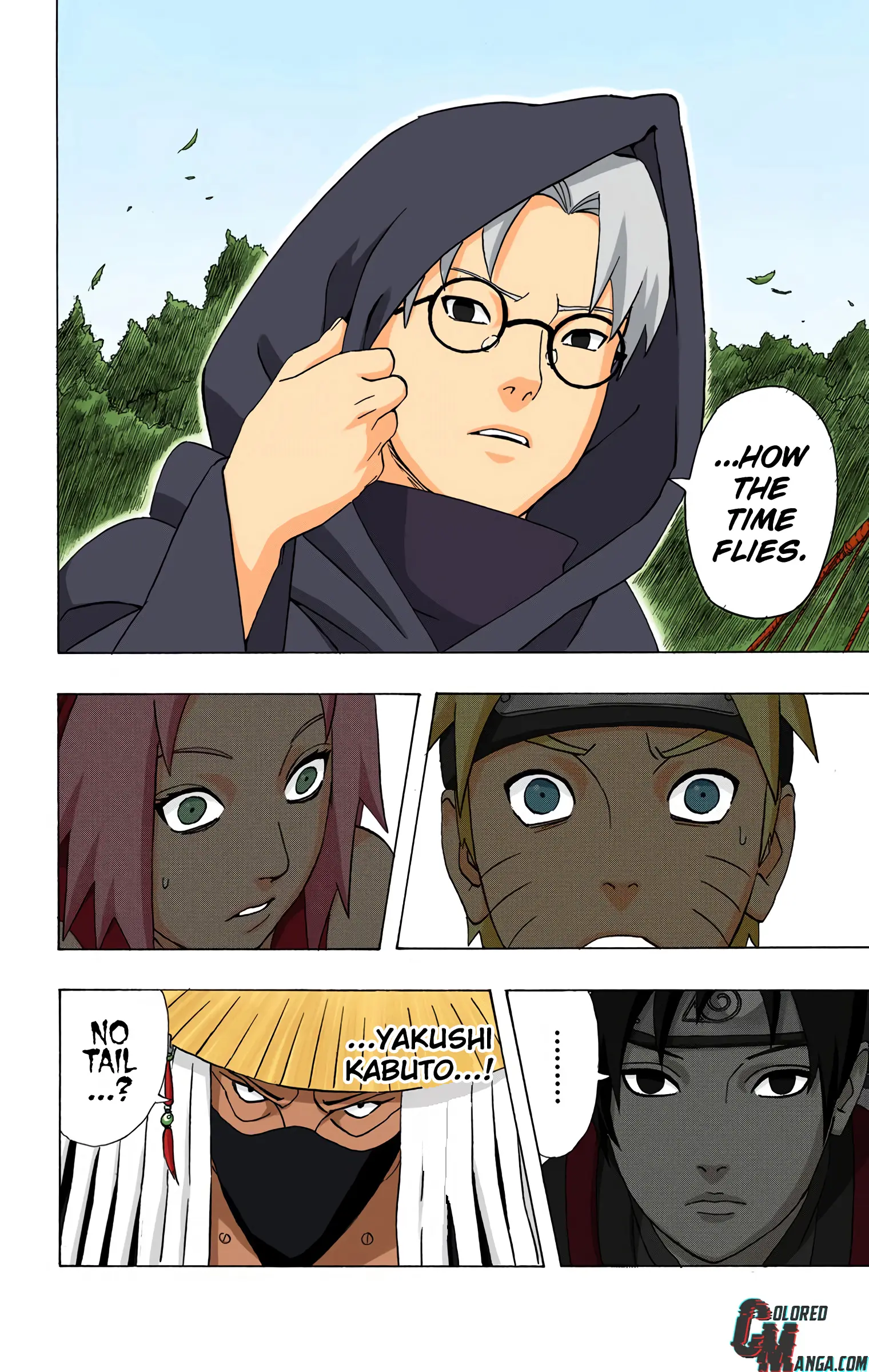 Naruto Colored Manga Online, chapter 289, page 12