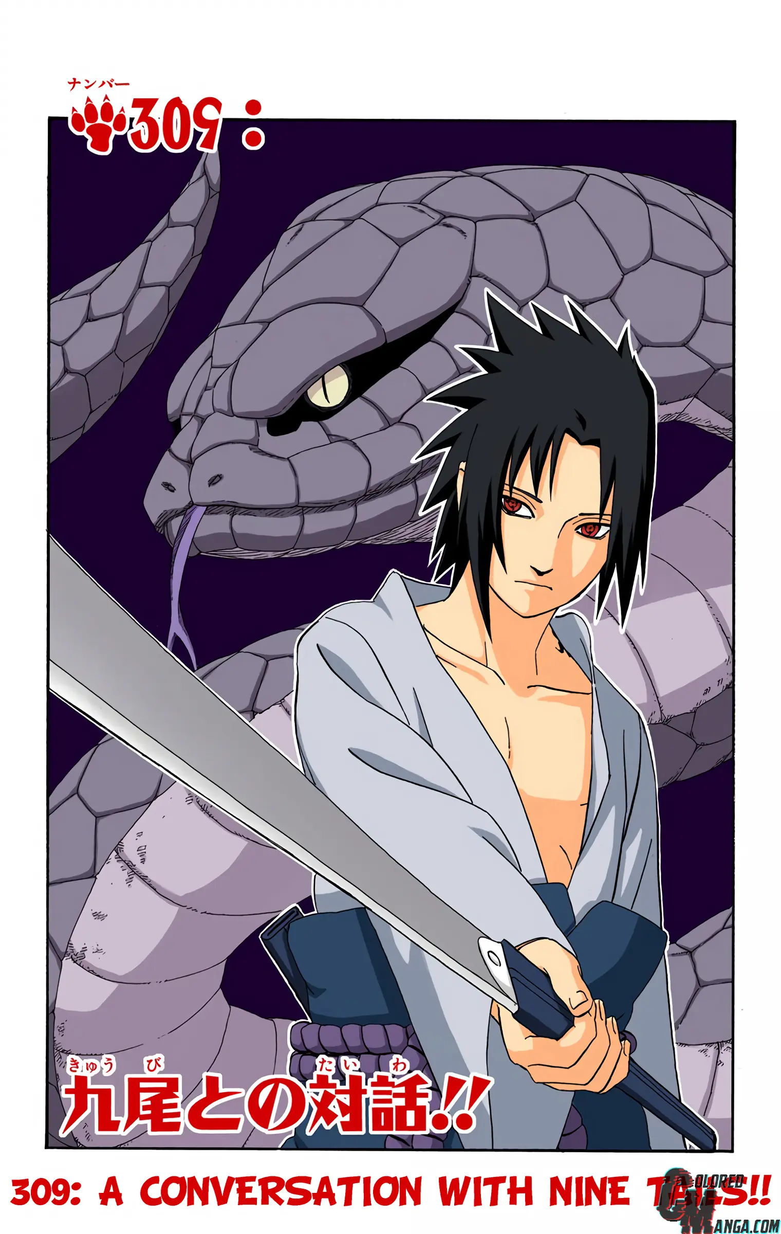 Naruto Colored Manga Online, chapter 309, page 1