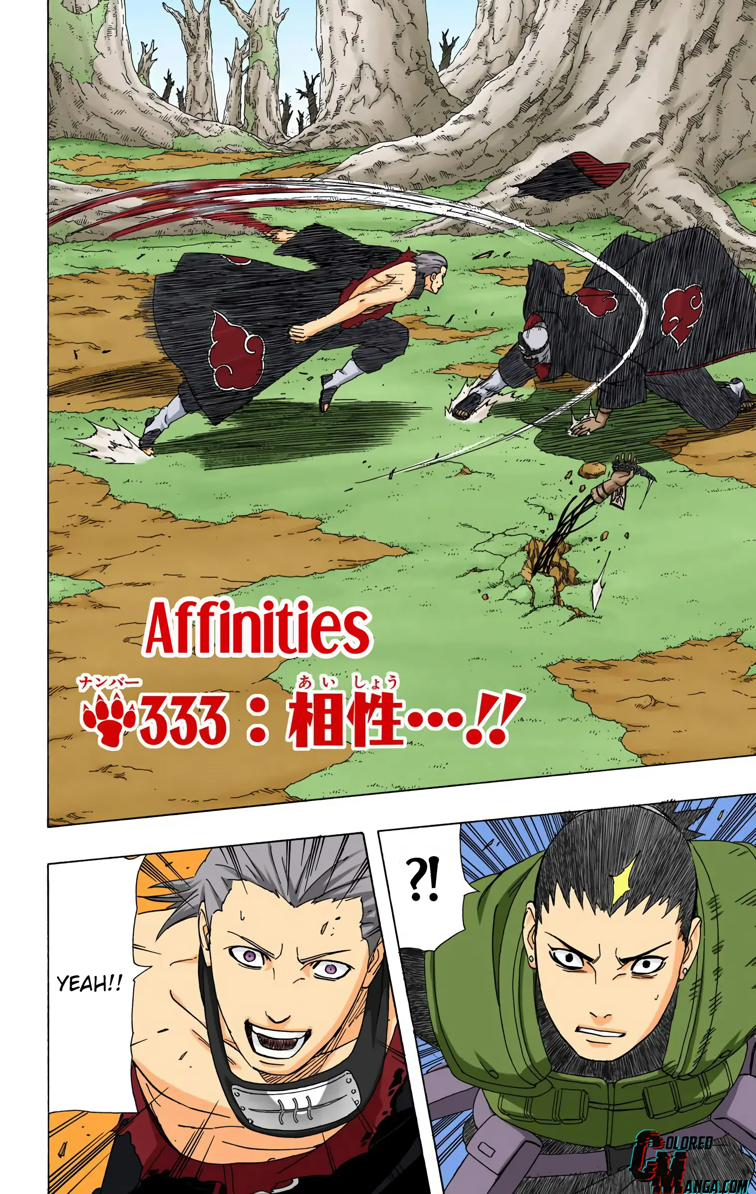 Naruto Colored Manga Online, chapter 333, page 4