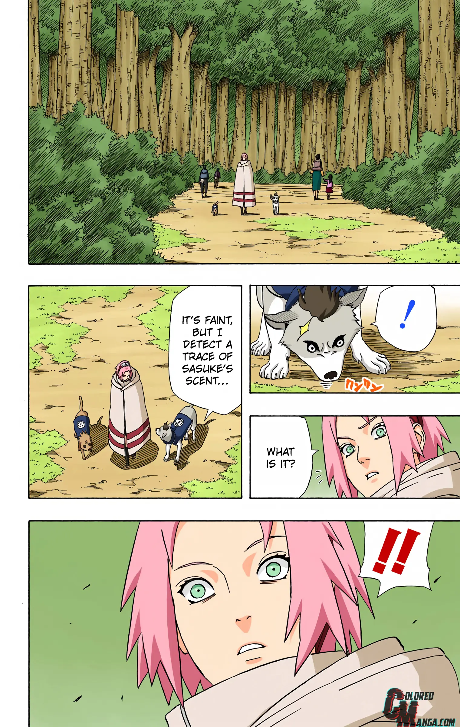 Naruto Colored Manga Online, chapter 355, page 14