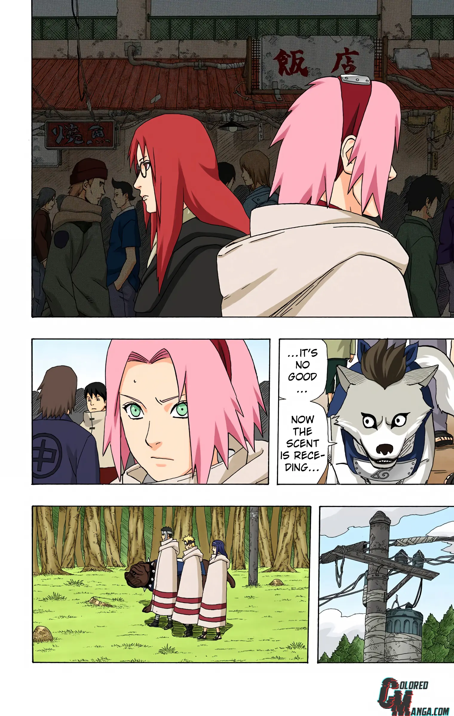 Naruto Colored Manga Online, chapter 356, page 6