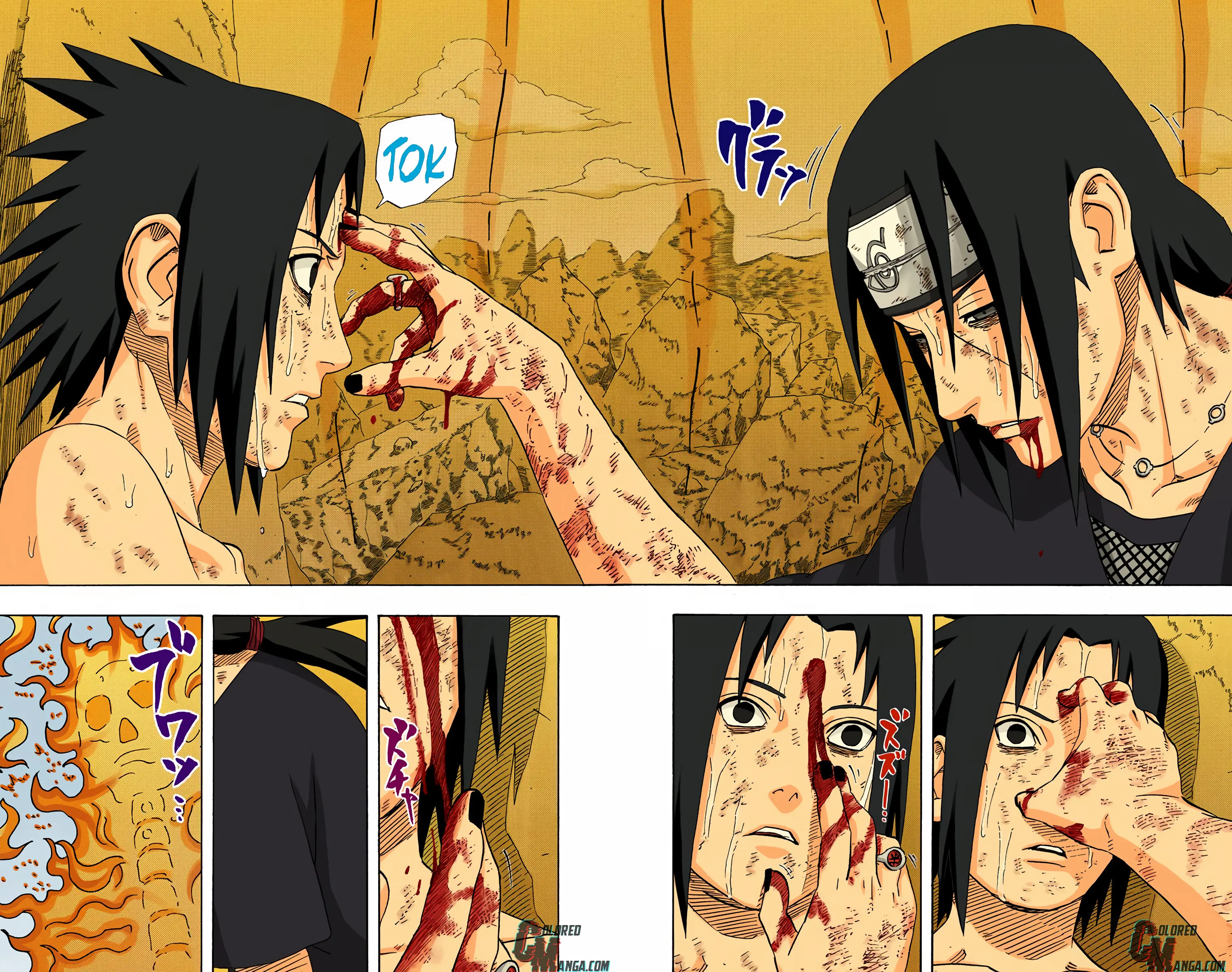 Naruto Colored Manga Online, chapter 393, page 14