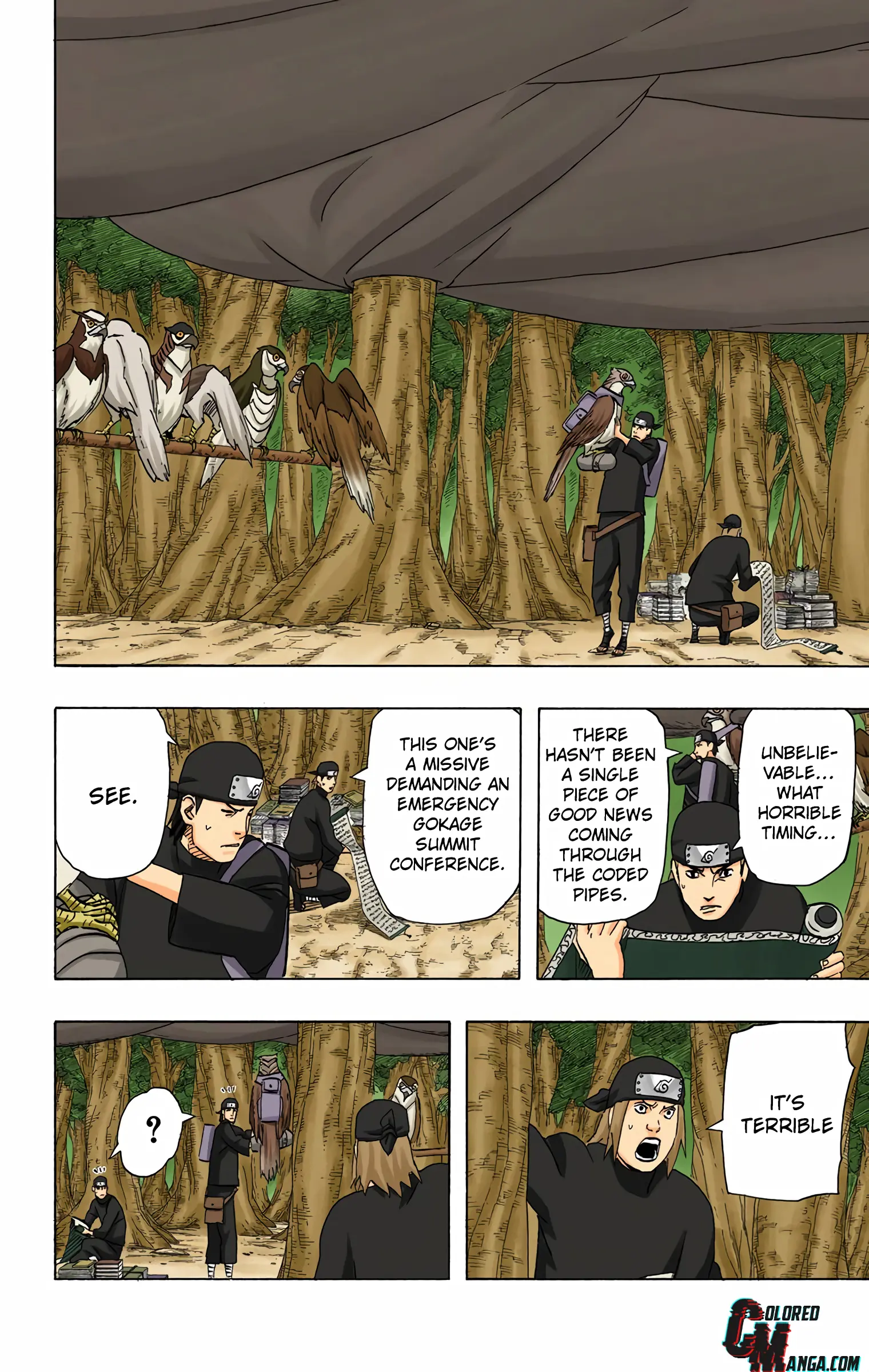 Naruto Colored Manga Online, chapter 451, page 13