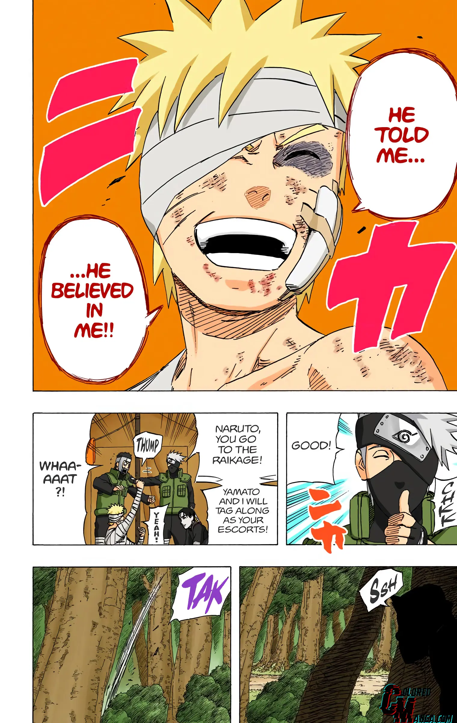 Naruto Colored Manga Online, chapter 455, page 16