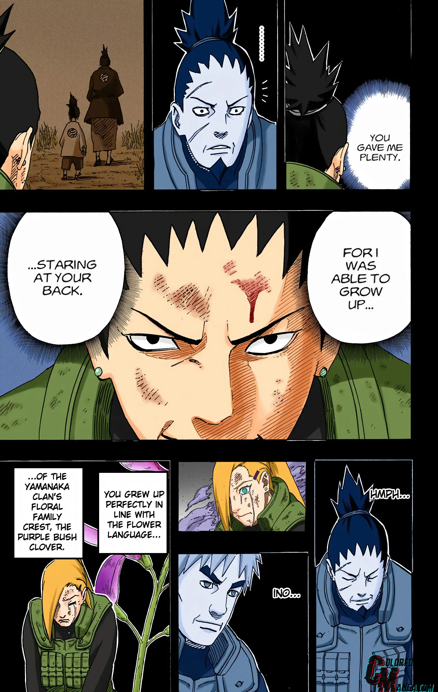Naruto Colored Manga Online, chapter 616, page 12