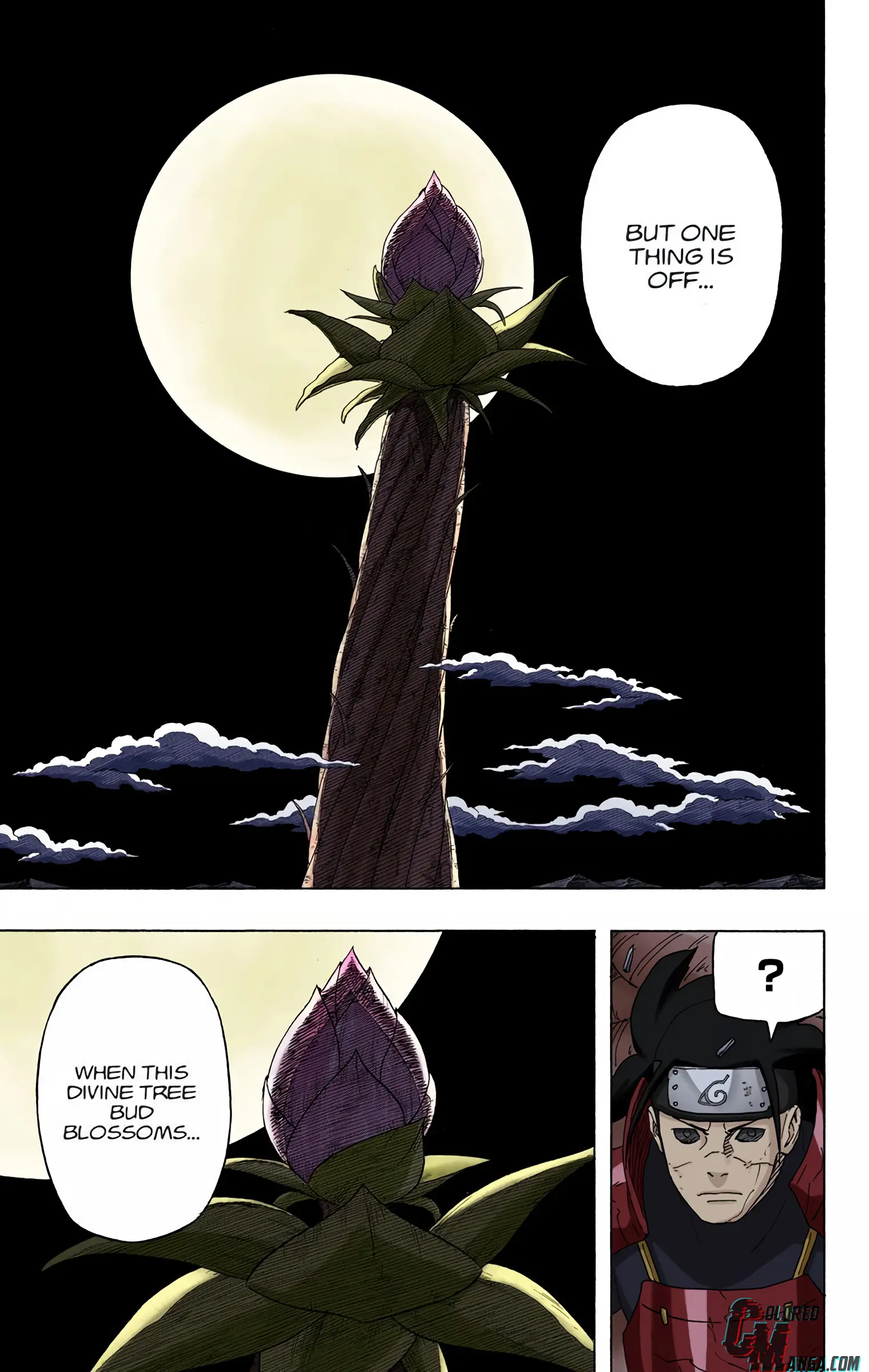 Naruto Colored Manga Online, chapter 646, page 10