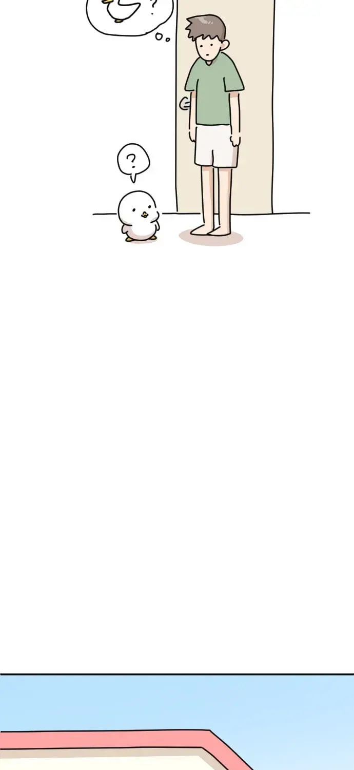 Ducks Are the Best!, chapter 2, page 31