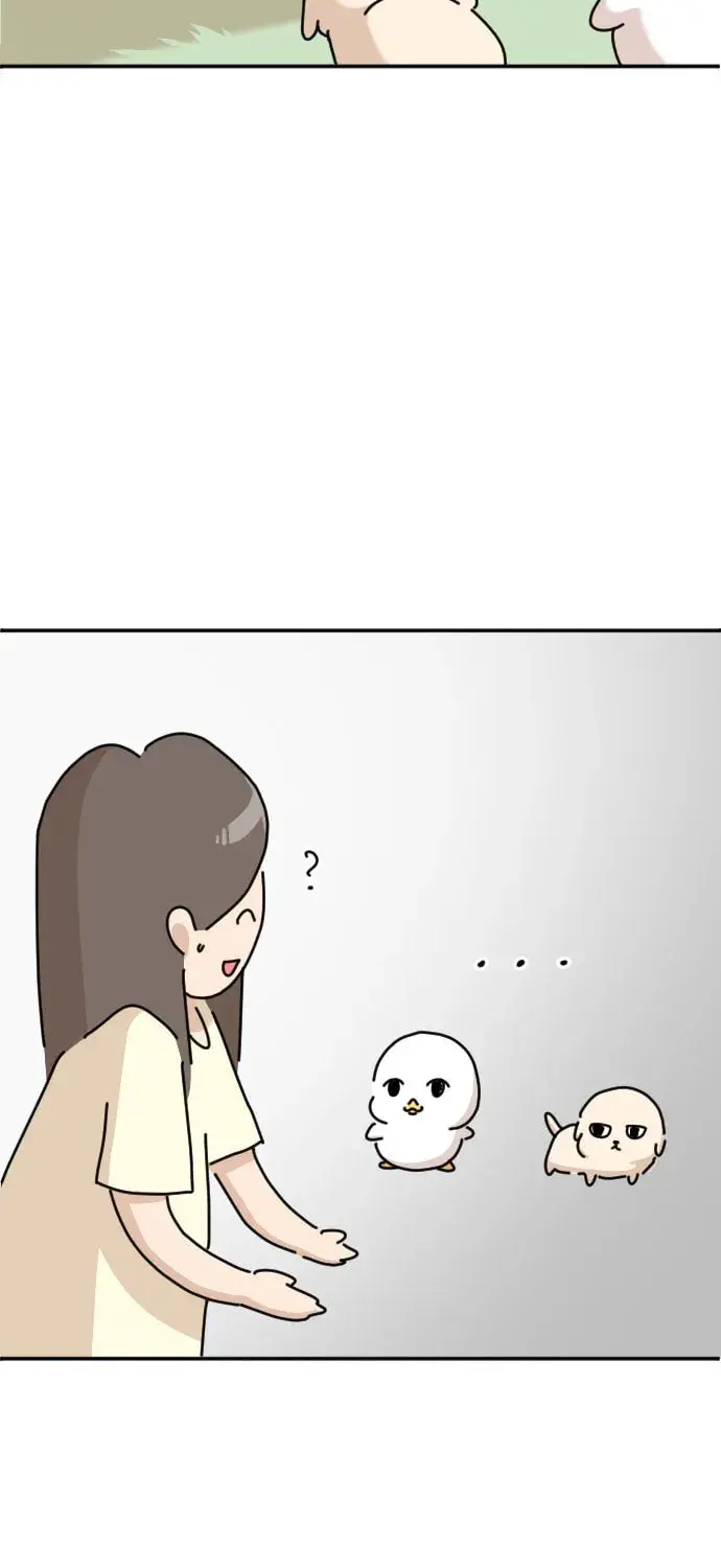Ducks Are the Best!, chapter 2, page 111