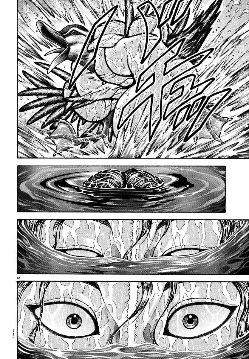 Baki Dou 2, chapter 151 END, page 13
