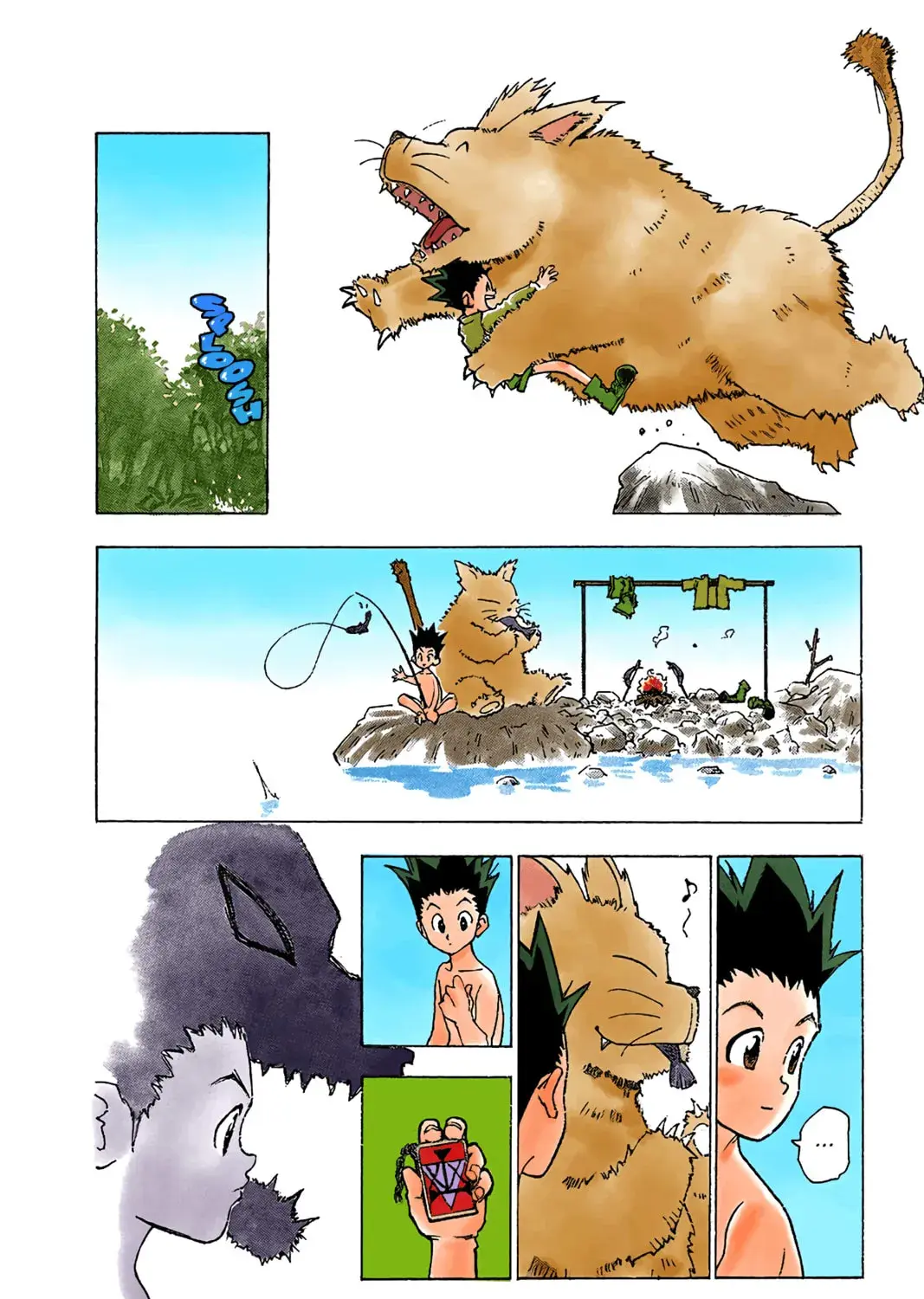Hunter x Hunter Colored Manga, chapter 1, page 25